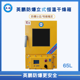 立式恒溫防爆干燥箱65L