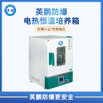 防爆电热恒温培养箱WPL