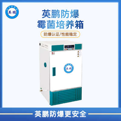 防爆霉菌培养箱MJX