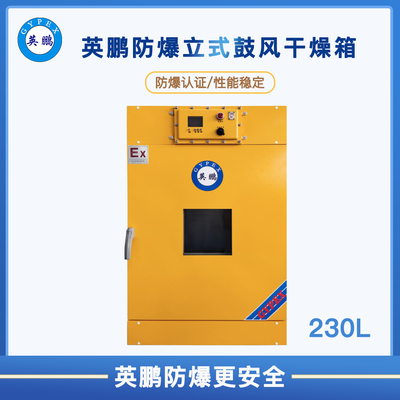 立式鼓风防爆干燥箱230L