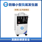 防爆小型臭氧发生器(8-10g)