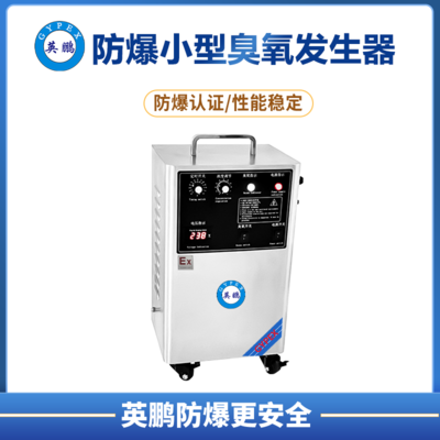 防爆小型臭氧发生器(8-10g)