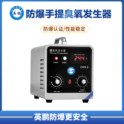 防爆手提臭氧发生器(3-5g)