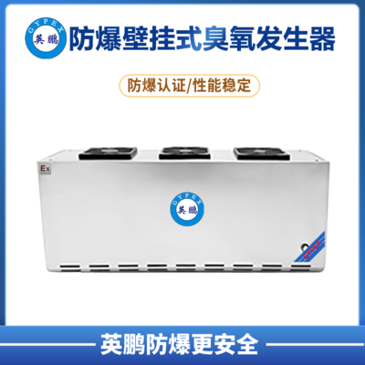 防爆壁挂式臭氧发生器(10g-50g)