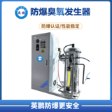 防爆臭氧发生器(300-600g)