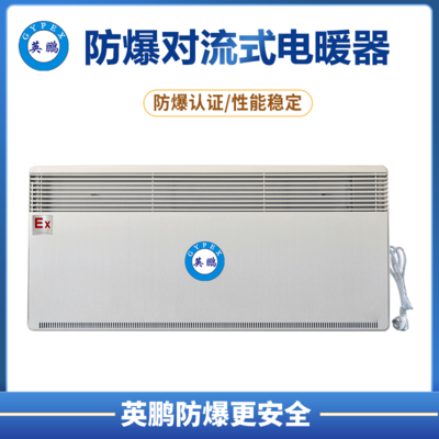 防爆对流电暖器BYT-20DLB