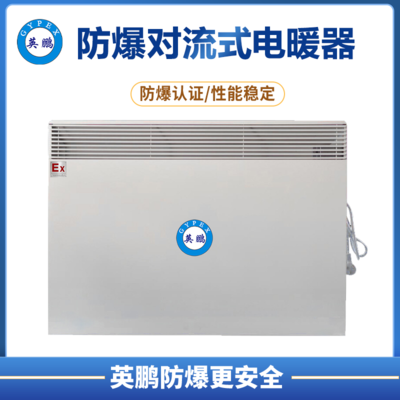 防爆对流电暖器BYT-15DL