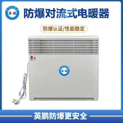 防爆对流电暖器BYT-12.5DL