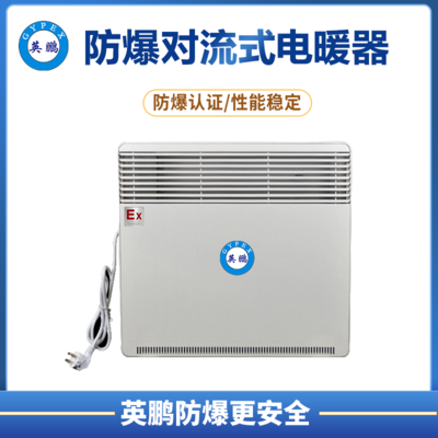 防爆对流式电暖器BYT-5DL