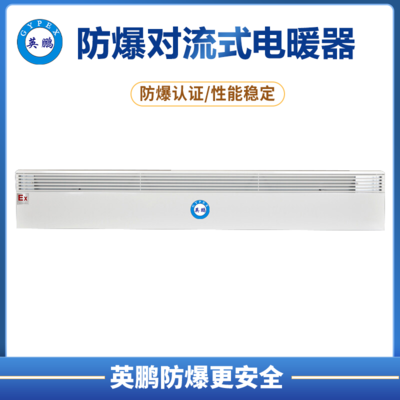 防爆对流电暖器BYT-20DLA