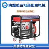 英鹏 防爆小型柴油发电机 双电压切换单缸 5kw