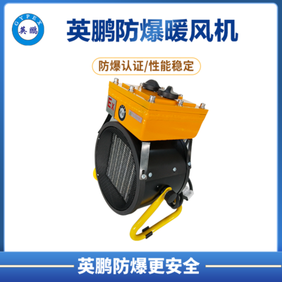 落地式-PTC防爆暖风机-3KW/220V