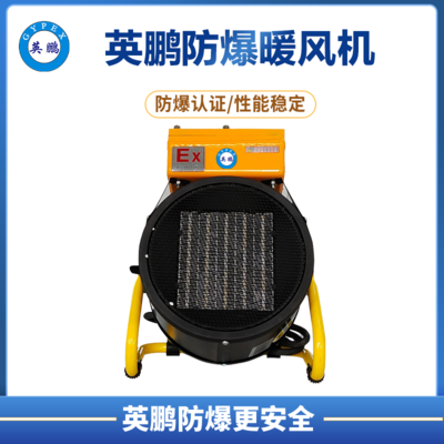 落地式-PTC防爆暖风机-2KW/220V