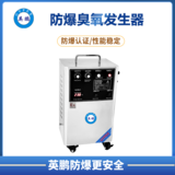 英鹏防爆臭氧发生器(20-30g)