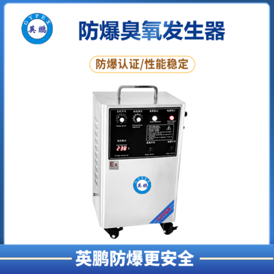 英鹏防爆臭氧发生器(20-30g)