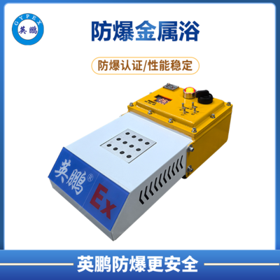 高温型干式 英鹏防爆恒温器 &nbsp;DH2系列