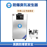 防爆臭氧发生器(50-100g)