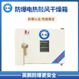 防爆干燥箱-鼓风-卧式