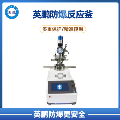 英鹏CXZ智能型快开式磁力搅拌防爆反应斧