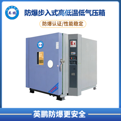 防爆步入式高低温低气压箱