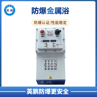高温型干式 英鹏防爆恒温器 &nbsp;DH1系列