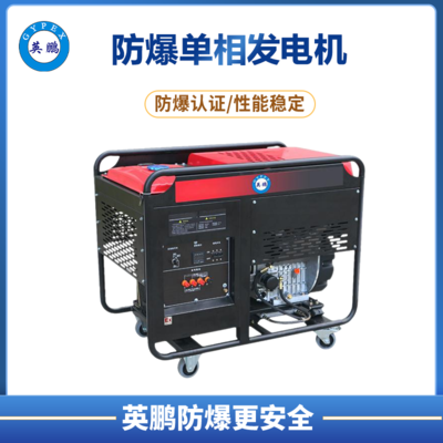 英鹏 防爆小型柴油发电机 单相双缸 12kw