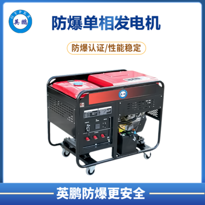英鹏 防爆小型柴油发电机 单相双缸 10kw