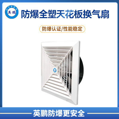 防爆全塑天花板换气扇 &nbsp;&nbsp;&nbsp;仓库试验 &nbsp;APT系列