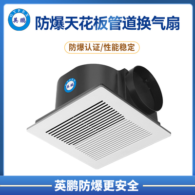 防爆天花板管道换气扇 风机全塑 &nbsp;BPT系列