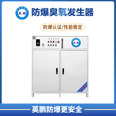 英鹏防爆臭氧发生器(200g)