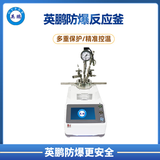 英鹏CXZ智能型快开式磁力搅拌防爆反应斧