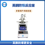 英鹏CXJ经典型快开式磁力搅拌防爆反应釜