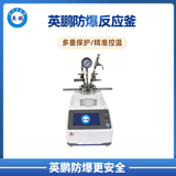 英鹏CXT通用型快开式磁力搅拌防爆反应釜