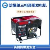 英鹏 防爆小型柴油发电机 双电压切换双缸 10kw