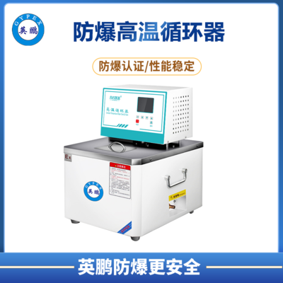 防爆高温循环器
