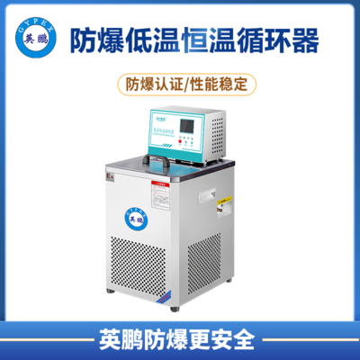 防爆低温恒温循环器