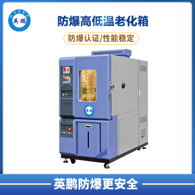 防爆高低温老化箱