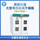 防爆干燥箱-鼓风-大型