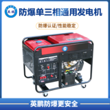 英鹏 防爆小型柴油发电机 双电压切换双缸 12kw